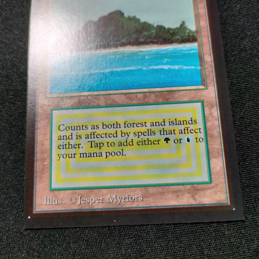 MTG 金枠 Tropical  CE トロピカルアイランド 1枚