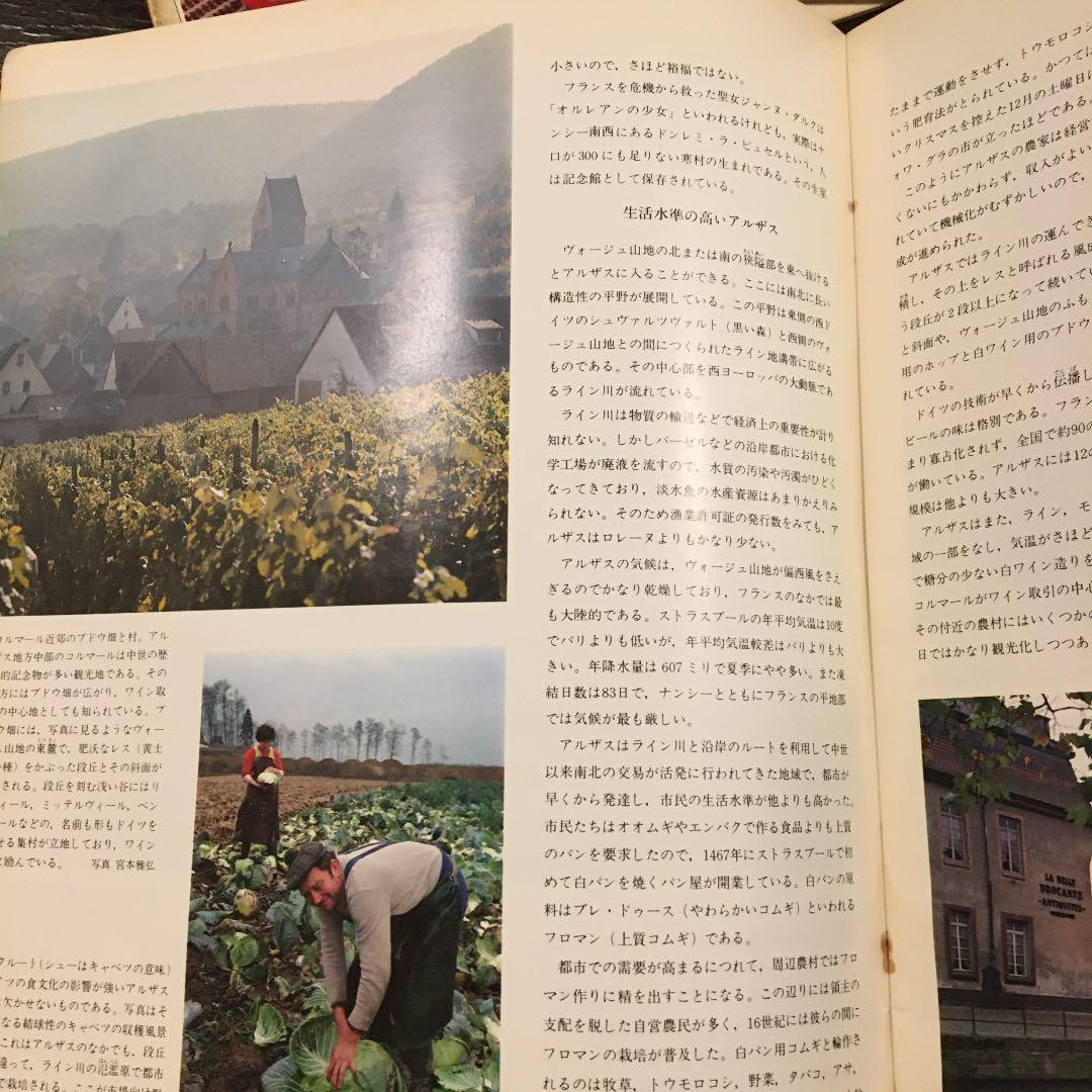 世界の食べ物 朝日百科 1〜10 8巻は無いです。