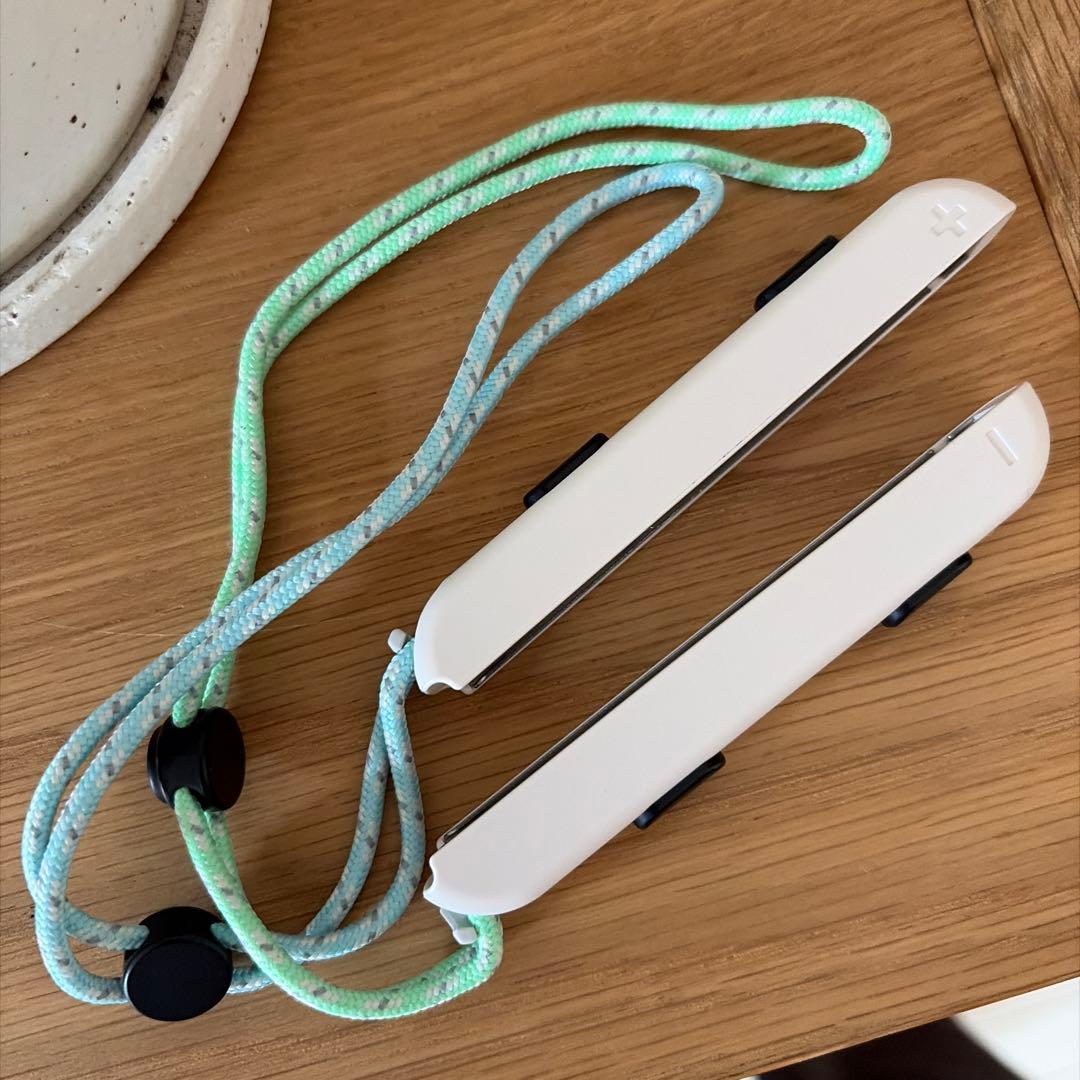 Nintendo Switch どうぶつの森デザイン 本体