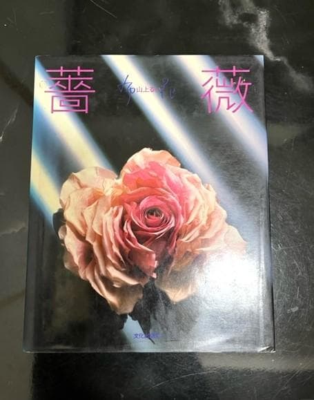 薔薇　布上るい著