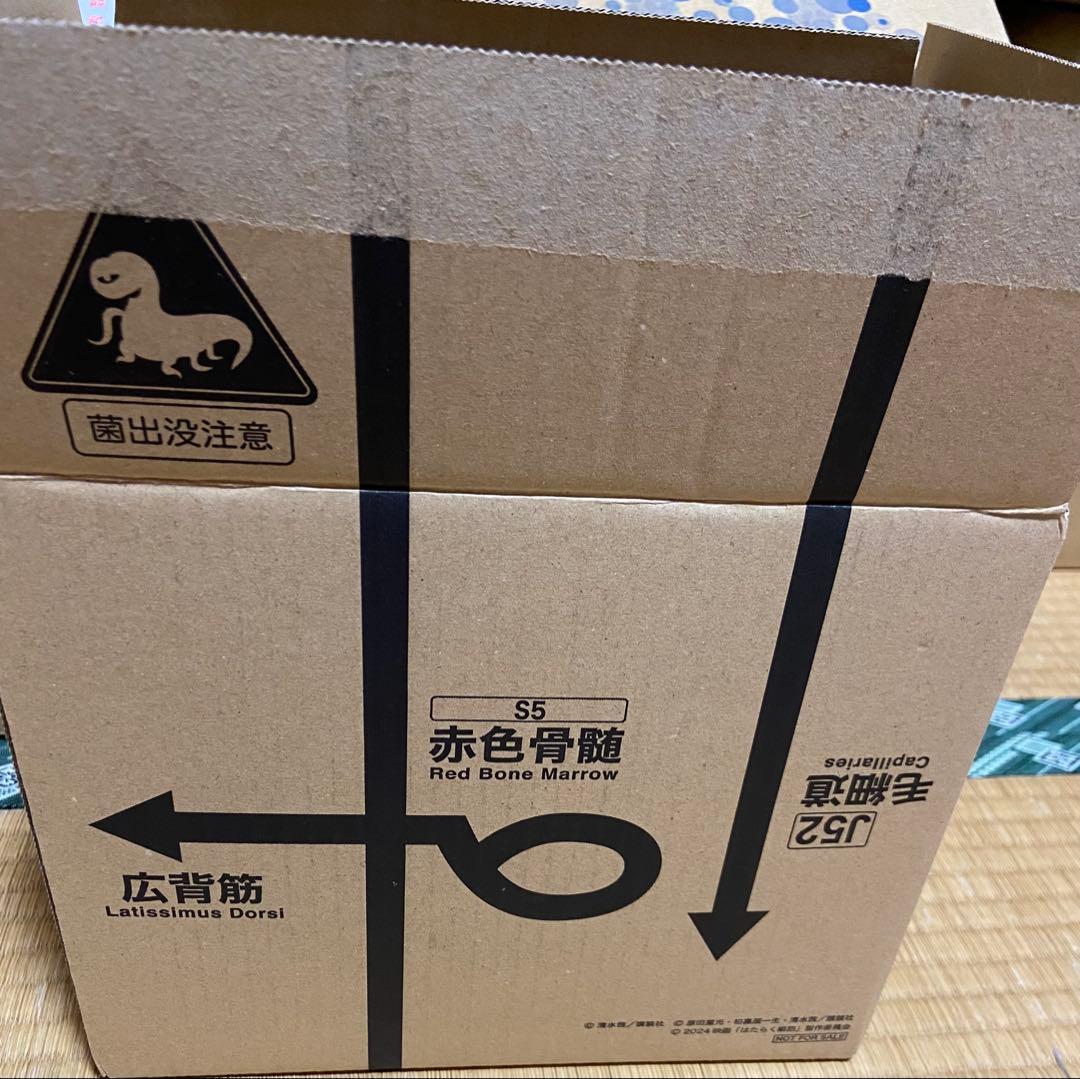 【即購入OK】映画 はたらく細胞 完全生産限定版・DVD・数量限定 未開封