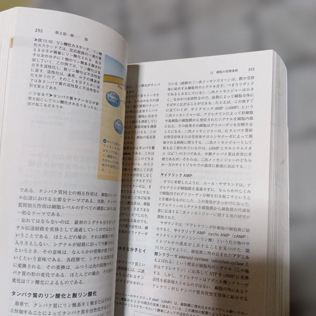 キャンベル生物学　原書11版