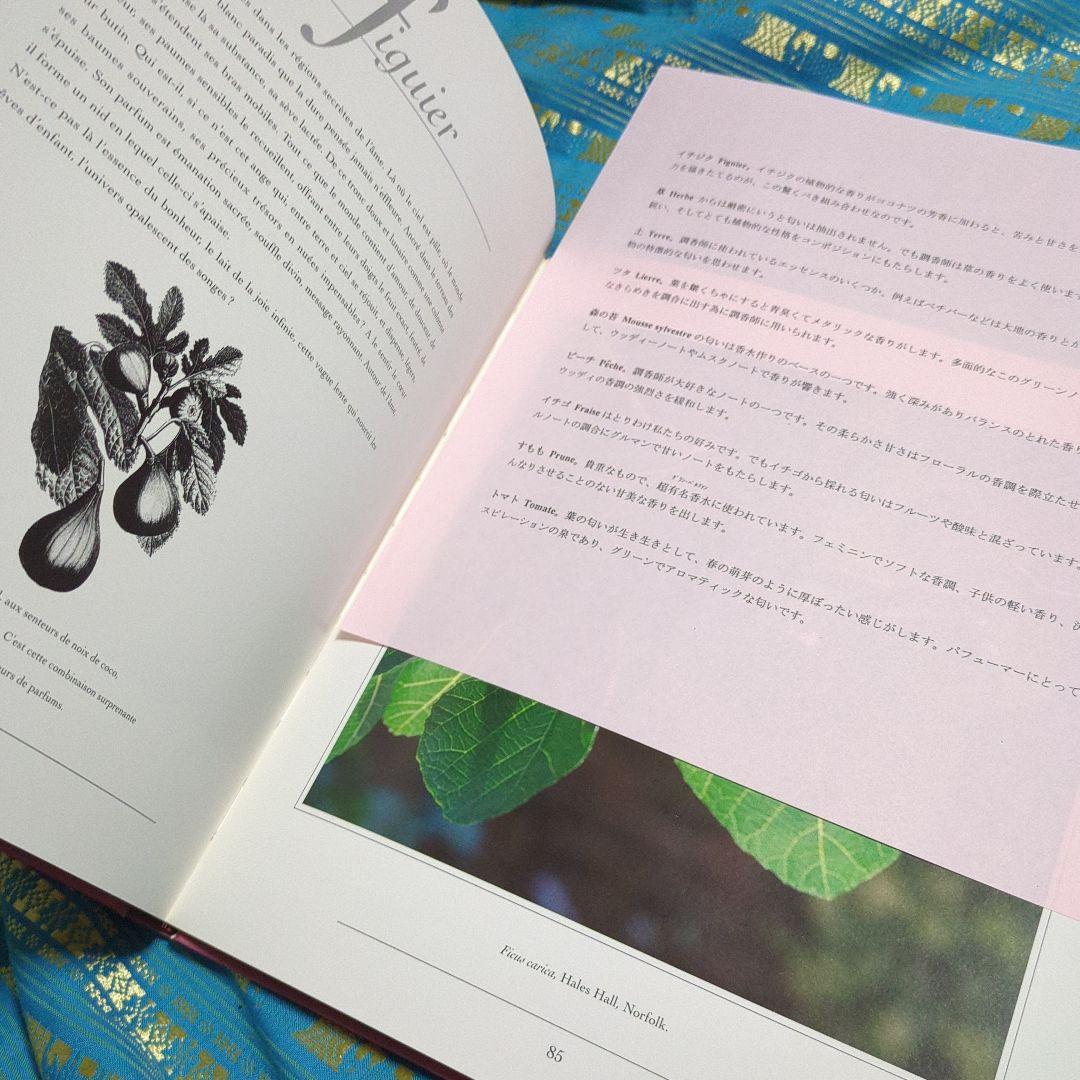 貴重　洋書　L'Ame Parfumee Des Jardins　フランス語香水