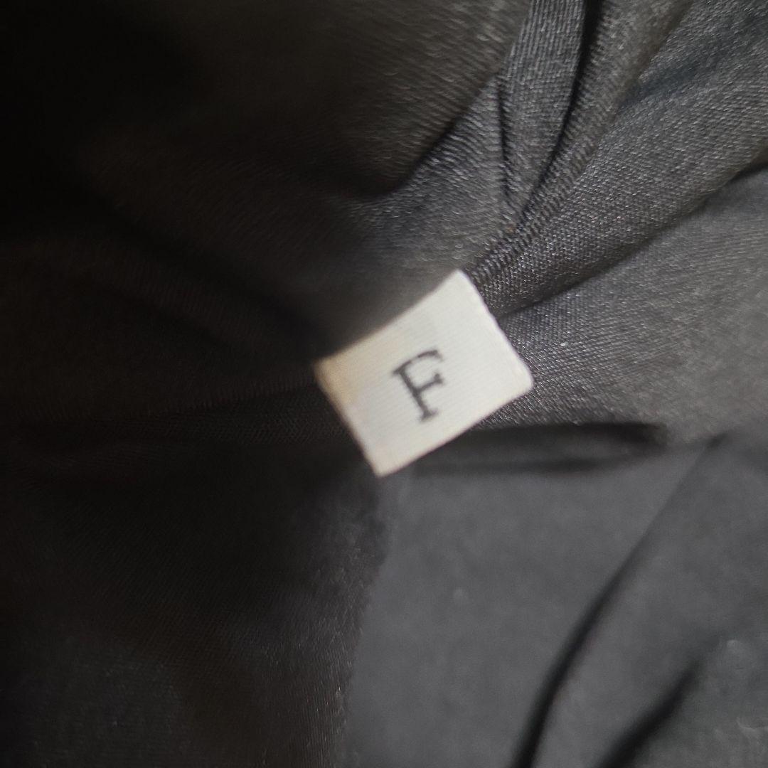 稀少 SAGA MINK 銀サガ シェアードミンク 美品 毛皮 サガミンク 袖絞