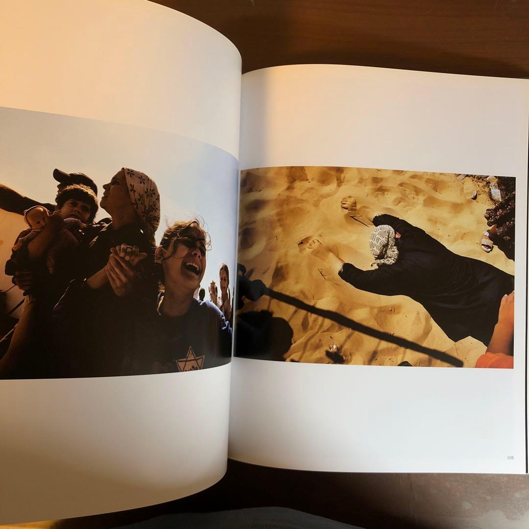 (珍しい本) DIES IRAE PAOLO PELLEGRIN (洋書)