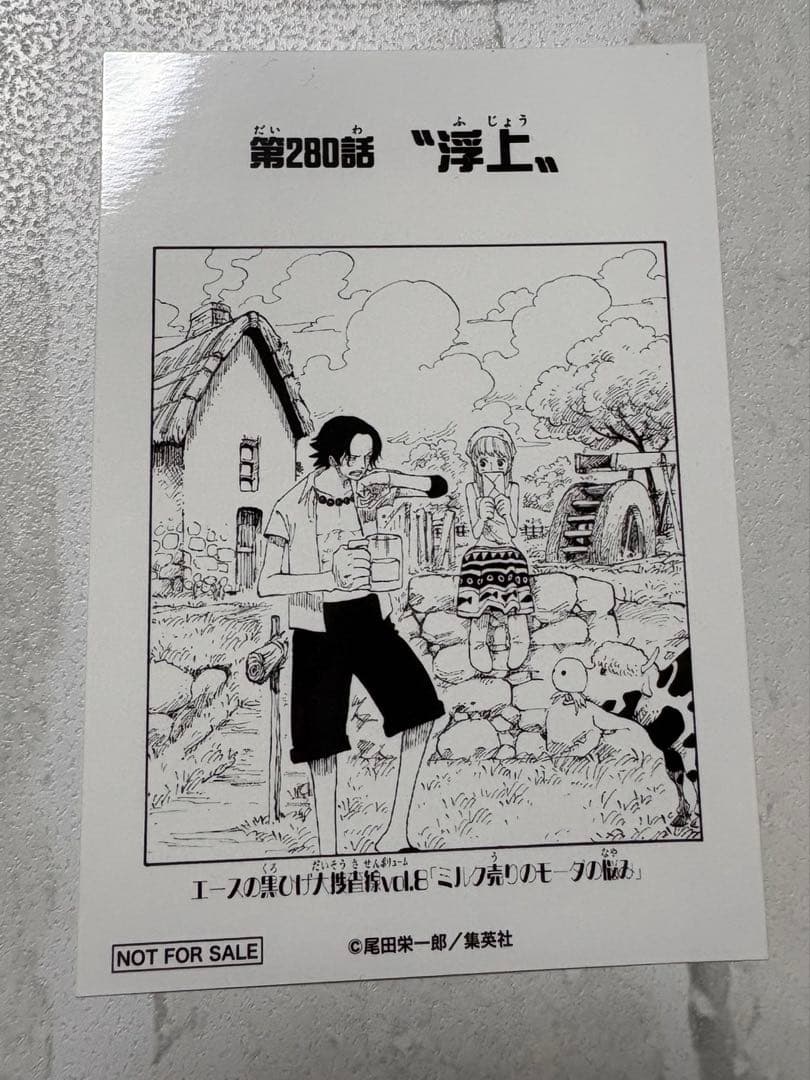 ワンピース ONEPIECE エース 扉絵ブロマイド 麦わらストア 特典 麦スト