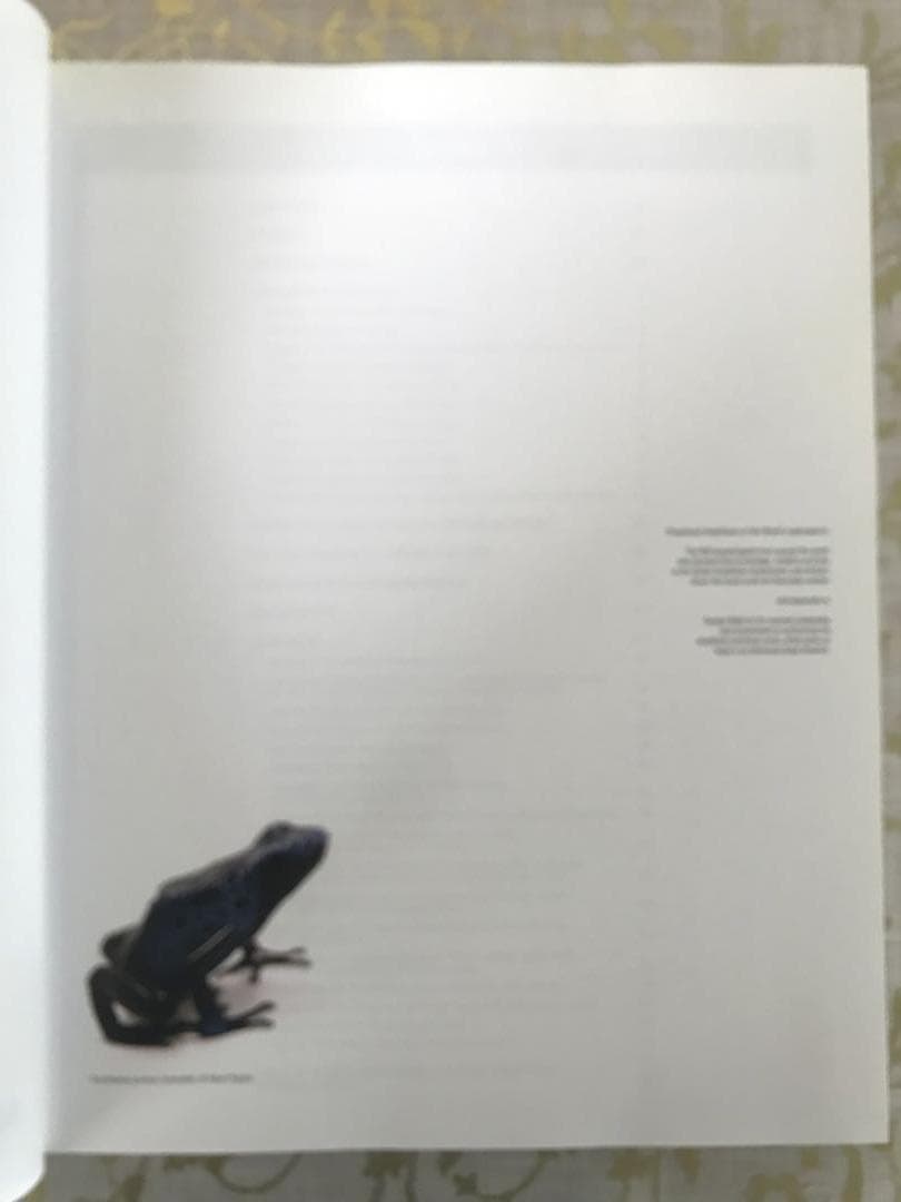 Threatened Amphibians of the World 英語版