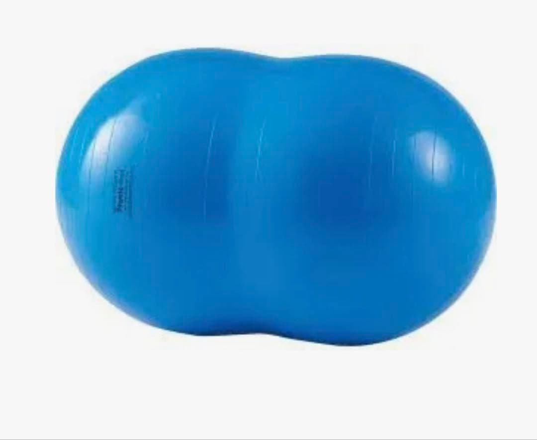 ギムニク(GYMNIC) フィジオロール イタリア製 青　70㎝　ピーナッツ型