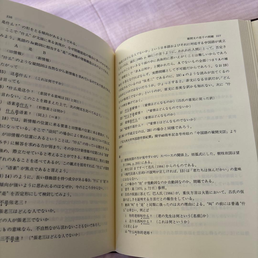 【美品】現代中国語の諸問題　著者:望月八十吉（函付き)
