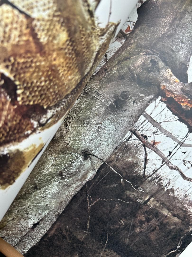 Andrew Wyeth 作品集 : 1968 アンドリュー・ワイエス