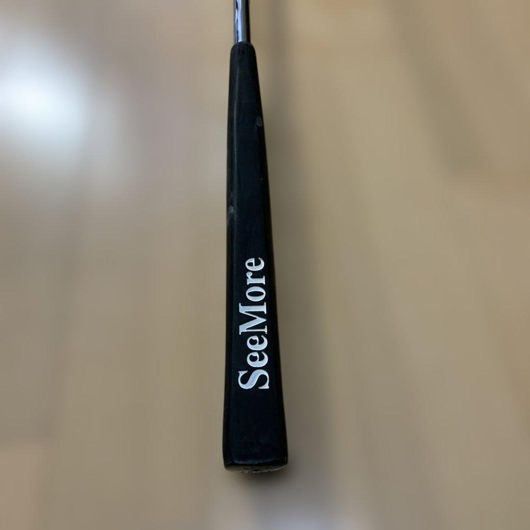 SeeMore FGP パター