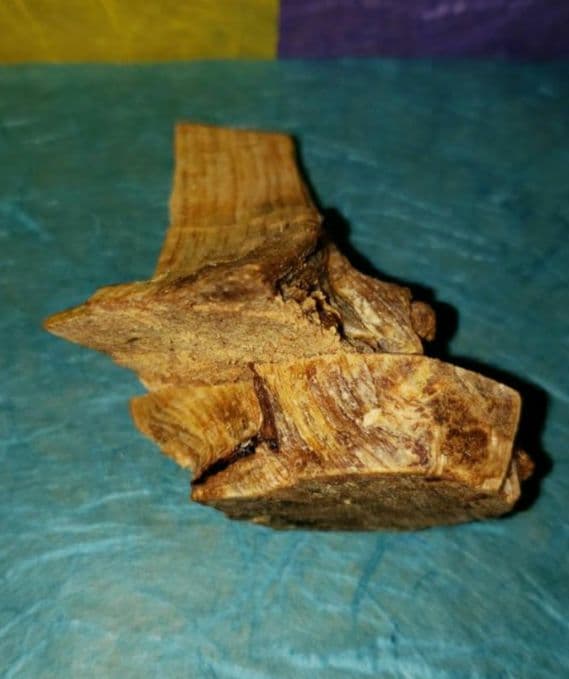 56 伽羅、六国五味、聞香、香木、沈香「天然ブルー白檀根瘤41,1g」