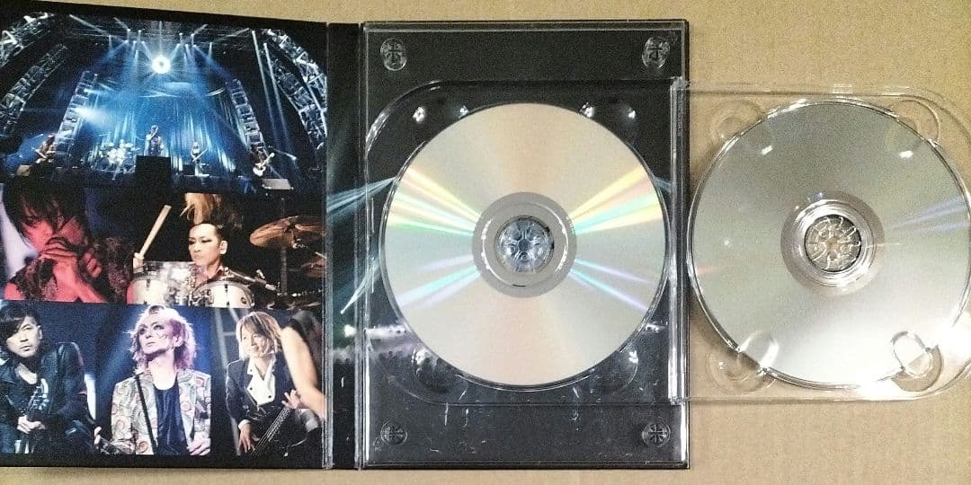 THE DAY IN QUESTION 2017 完全生産限定盤 DVDバクチク