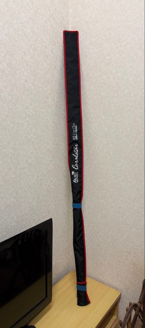 【2/22誕生日セール】 PALMS CORAL STAR CGJ-7016i