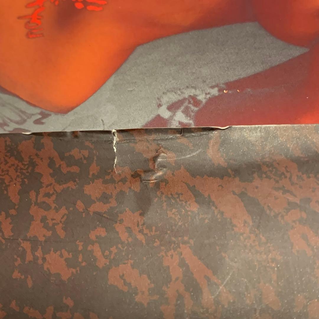 ★帯付Bitch’sLifeビッチズライフ韮沢靖鳥山明弐瓶勉寺田克也沙村広明空山