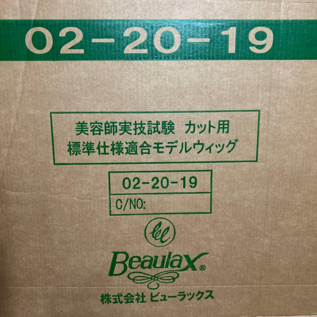 美容師国家試験カットウィッグ 16体セット