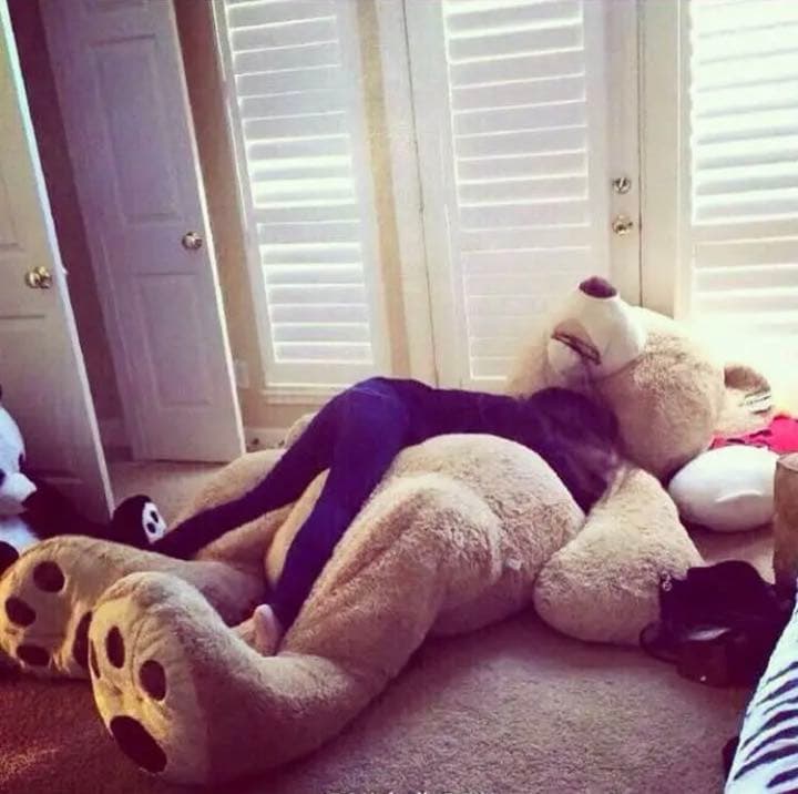 【即購入可】レア！コストコ　クマ　2m40cm