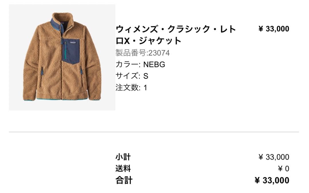 【美品】パタゴニア ウィメンズ・クラシック・レトロX S （日本サイズ:M相当）