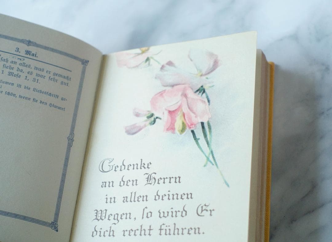 ドイツ 古書 アンティーク クリスチャン 勿忘草のメモリアルブック 洋書