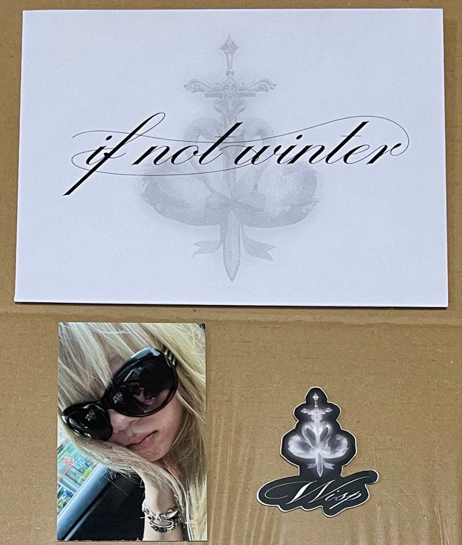 Wisp If Not Winter 限定版 LP レコード　レア 希少