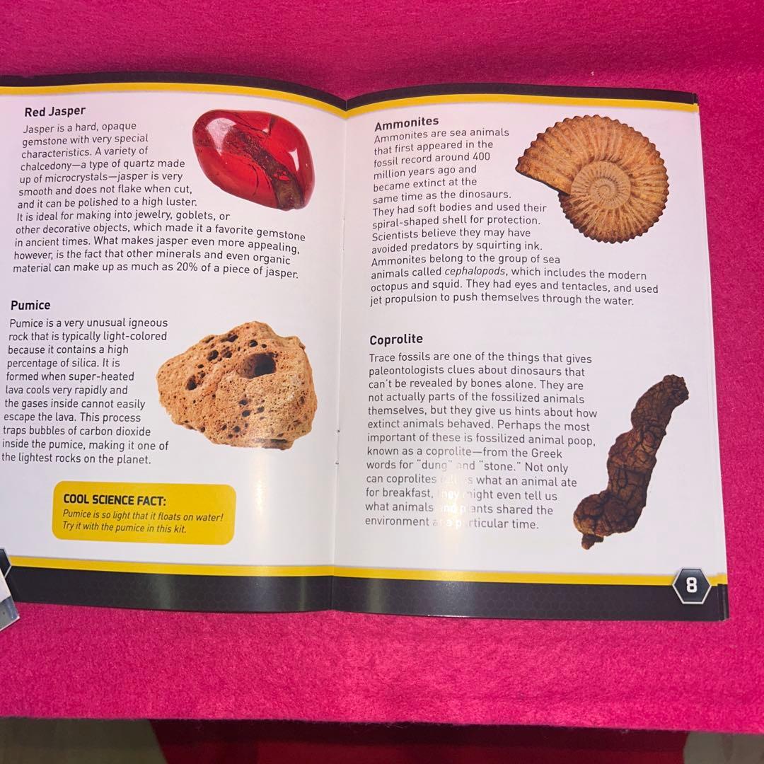 天然石　パワーストーン　化石　まとめ売り　ウッドボックス　貴石　ヒーリング　レア