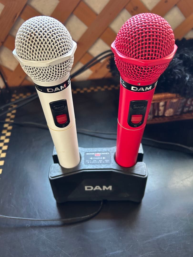 DAM ダイナミックマイク 2本セット