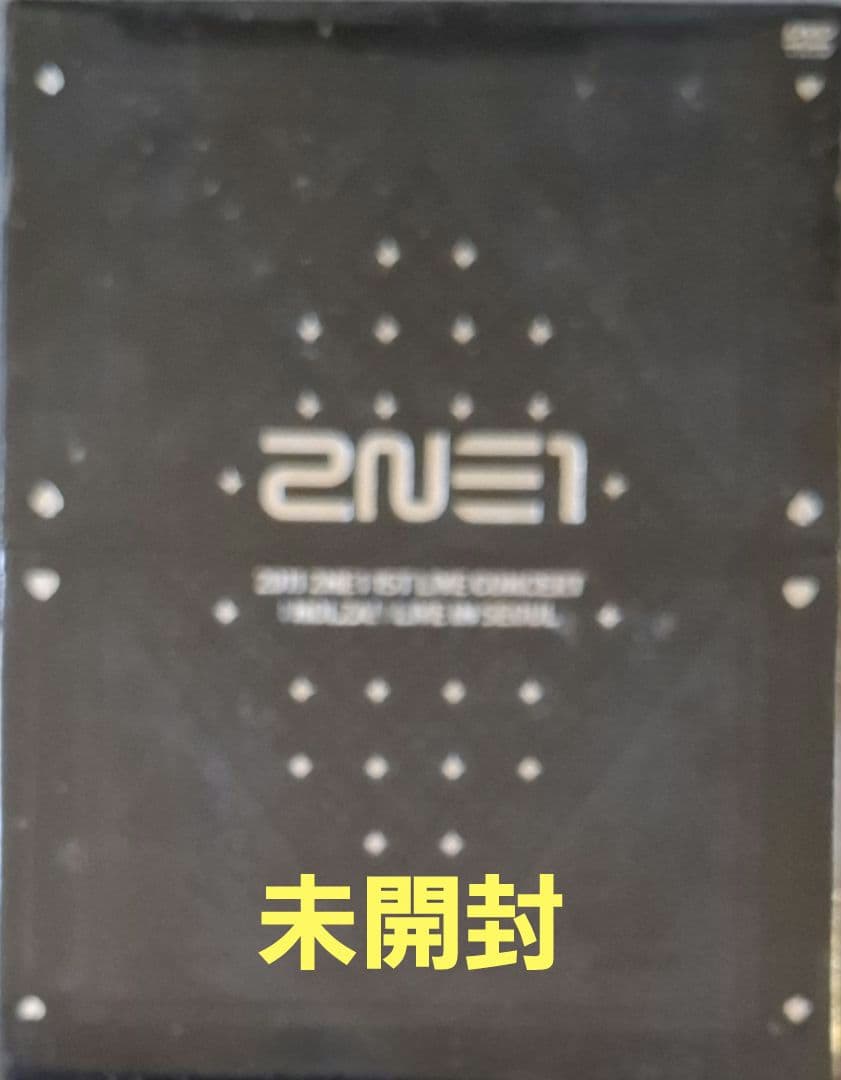 2NE1/1ST LIVE CONCERT'NOLZA!'LIVE IN SE…