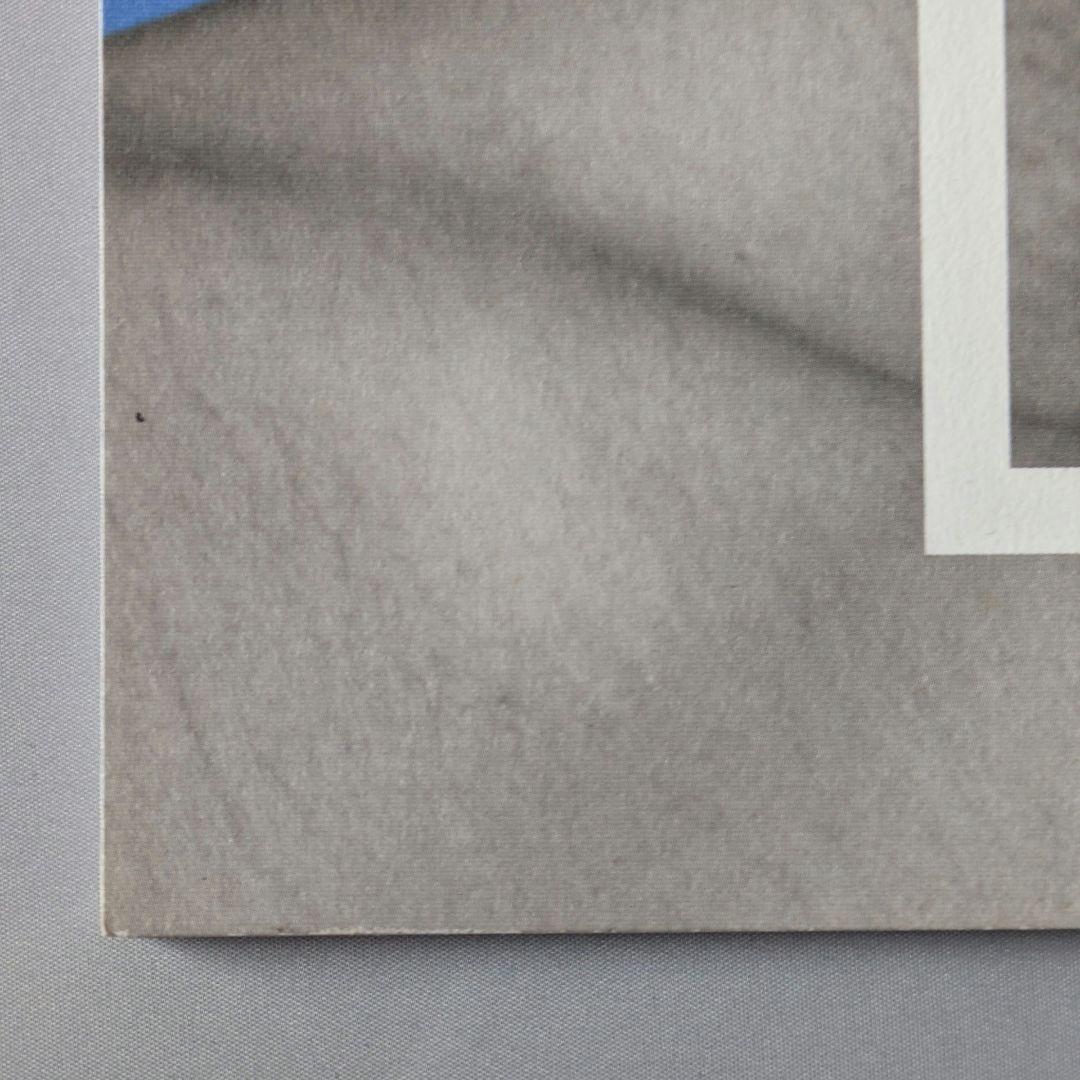 0554【希少】SUPER PORNSTAR レスリー・キー✕真崎航